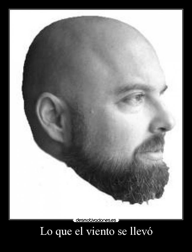 Lo que el viento se llevó -