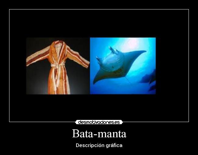 Bata-manta - Descripción gráfica