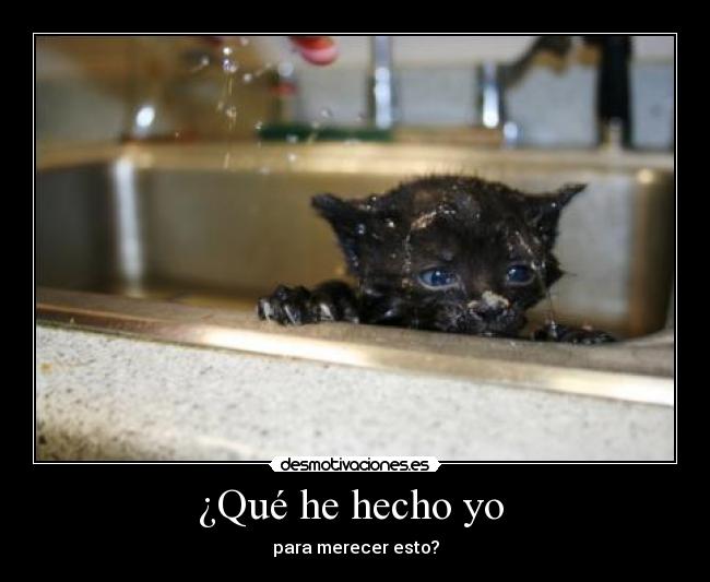 ¿Qué he hecho yo - para merecer esto?