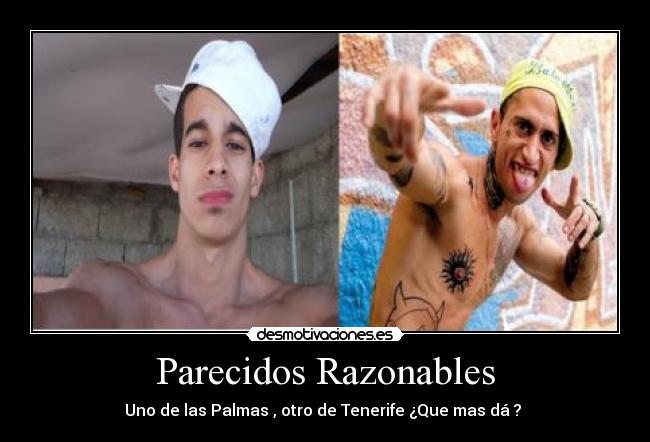 Parecidos Razonables - 