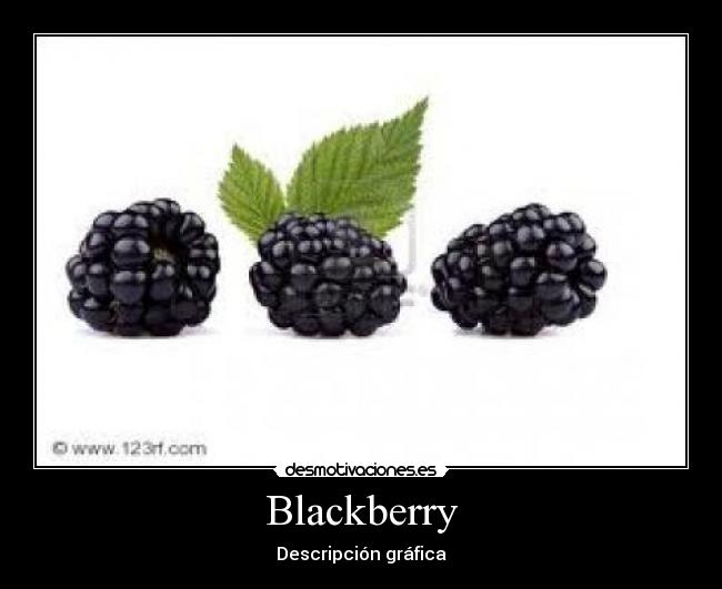 Blackberry -