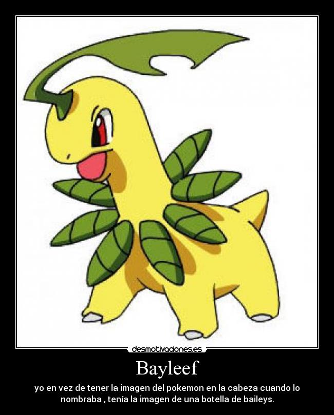 Bayleef -