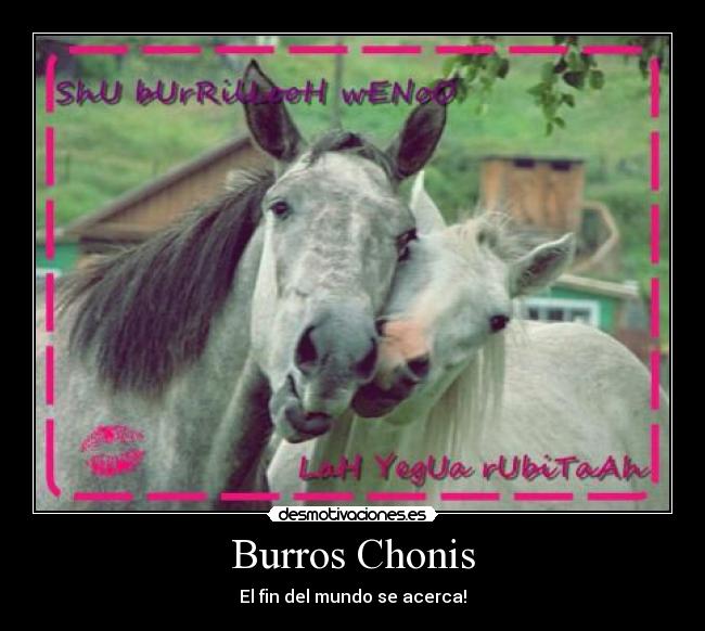 carteles burros chonis desmotivaciones