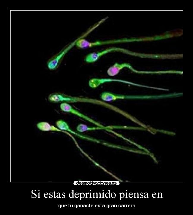 Si estas deprimido piensa en - que tu ganaste esta gran carrera