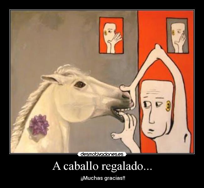 A caballo regalado... - ¡¡Muchas gracias!!