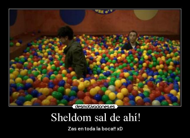 Sheldom sal de ahí! -