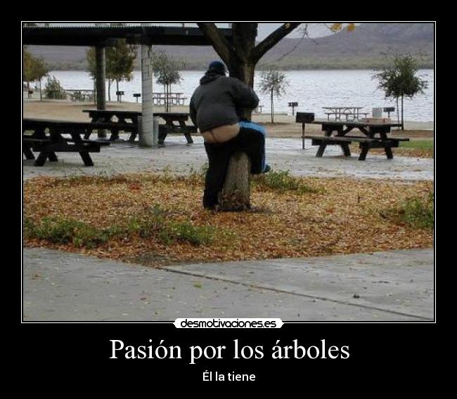 Pasión por los árboles - Él la tiene