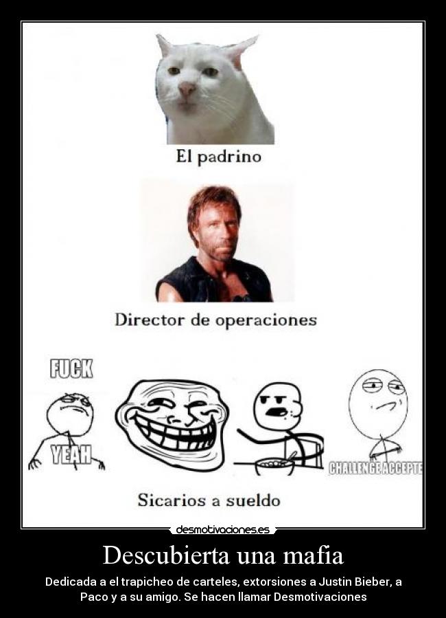 Descubierta una mafia - Dedicada a el trapicheo de carteles, extorsiones a Justin Bieber, a
Paco y a su amigo. Se hacen llamar Desmotivaciones