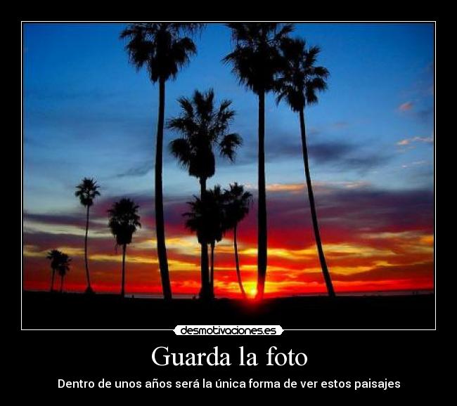 carteles foto ver paisajes desmotivacion zorra implakable desmotivaciones