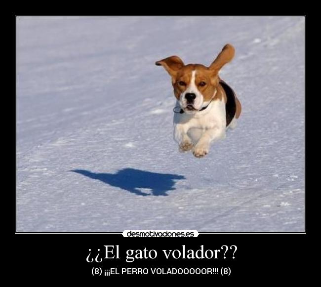 ¿¿El gato volador?? - (8) ¡¡¡EL PERRO VOLADOOOOOR!!! (8)
