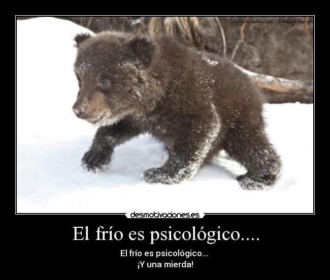 El frío es psicológico.... -