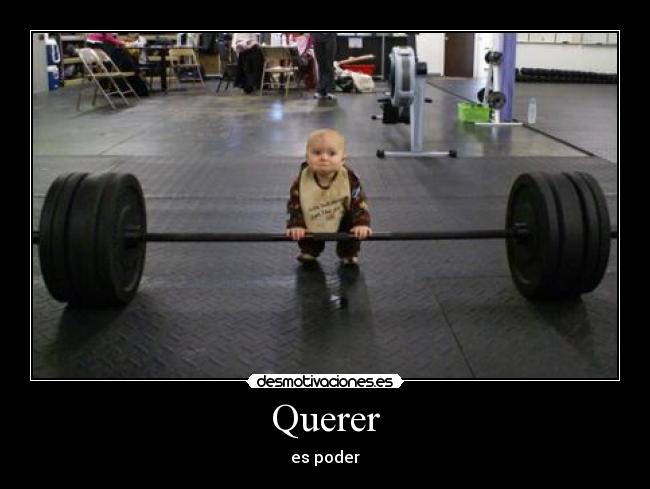 Querer - 