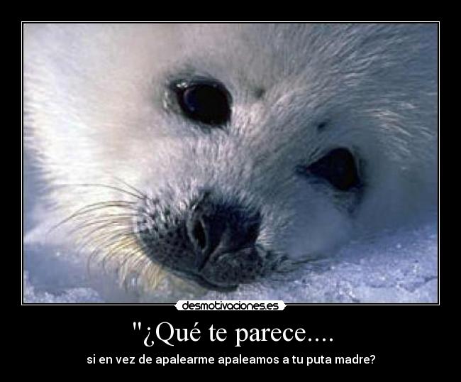 ¿Qué te parece.... - si en vez de apalearme apaleamos a tu puta madre?