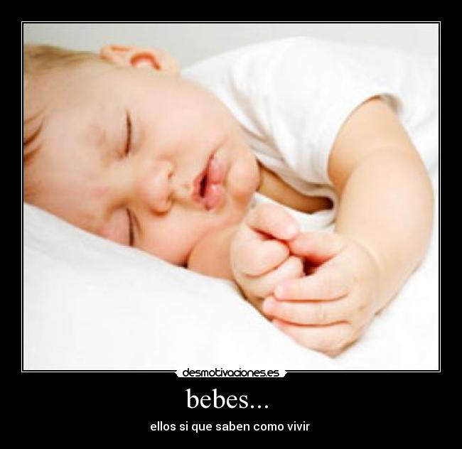 bebes...  - ellos si que saben como vivir 