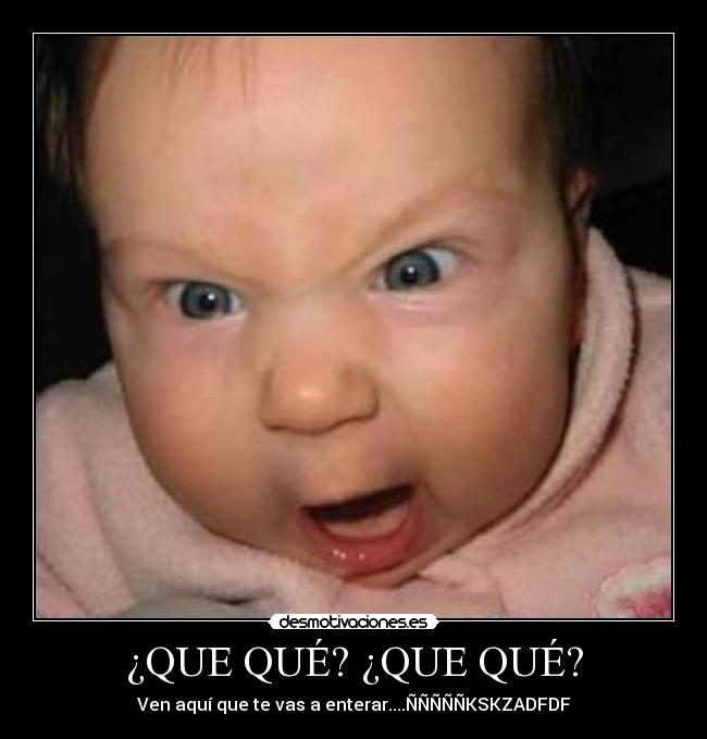 ¿QUE QUÉ? ¿QUE QUÉ? -