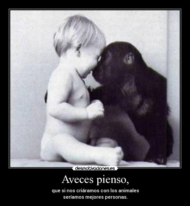 Aveces pienso, -
