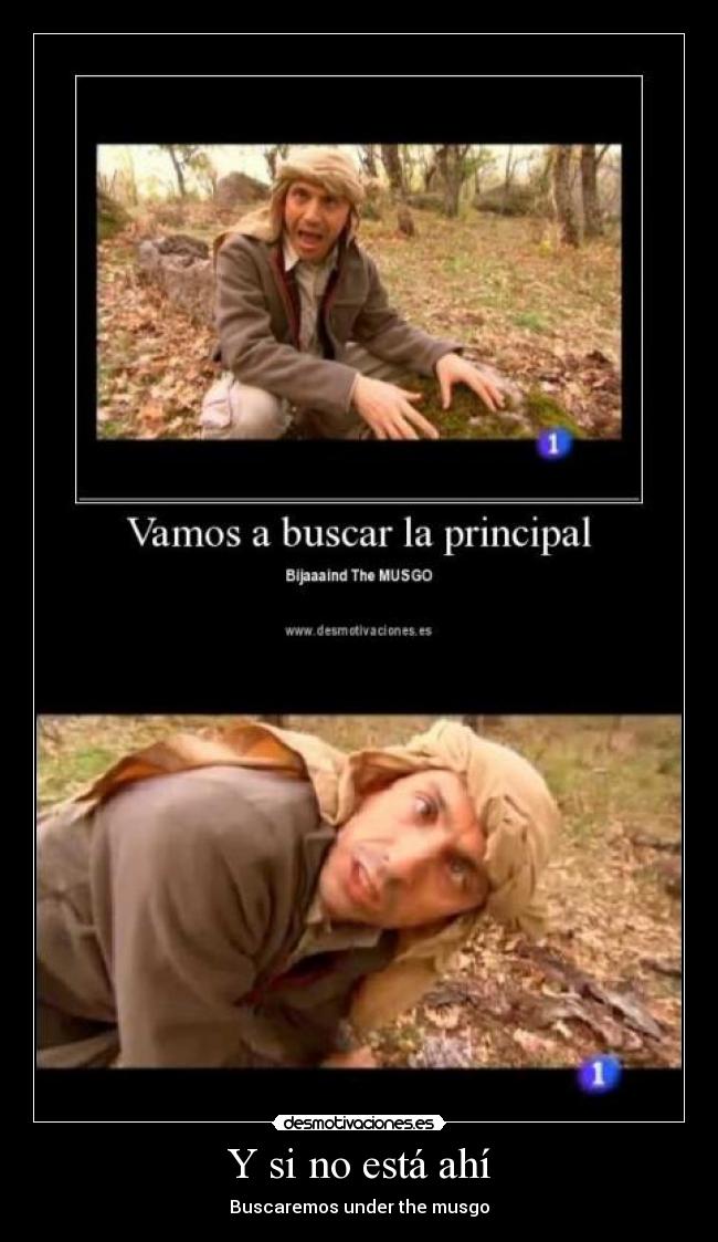 carteles aurre desmotivaciones