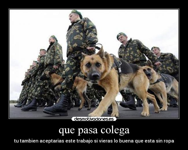 que pasa colega - tu tambien aceptarias este trabajo si vieras lo buena que esta sin ropa