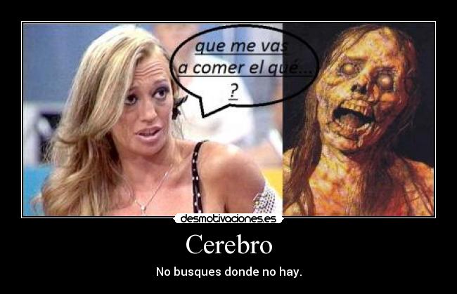 Cerebro - No busques donde no hay.