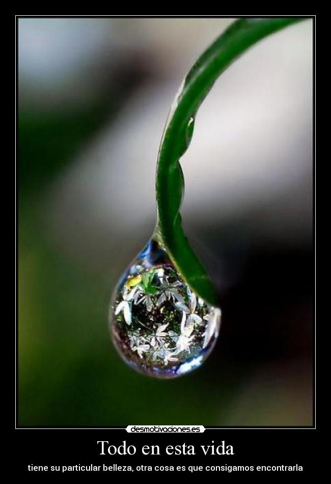 carteles vida belleza vida encontrar desmotivaciones