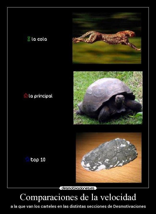 Comparaciones de la velocidad -