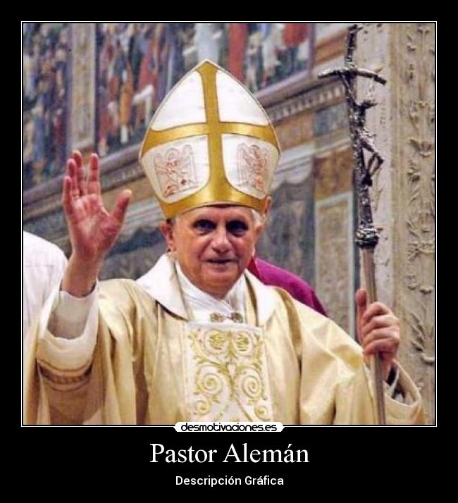 Pastor Alemán - Descripción Gráfica