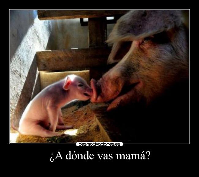 ¿A dónde vas mamá? -