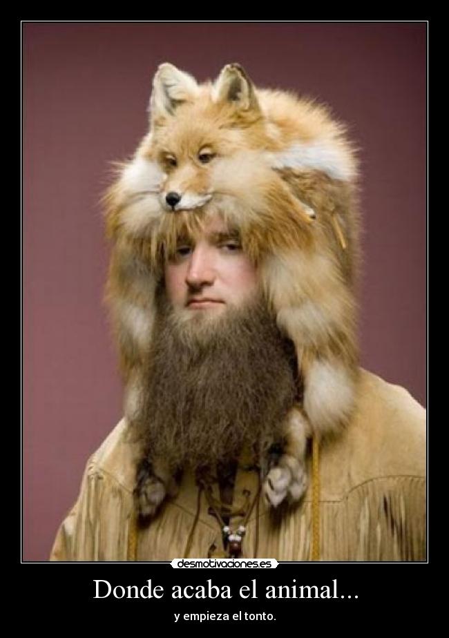 Donde acaba el animal... - y empieza el tonto.