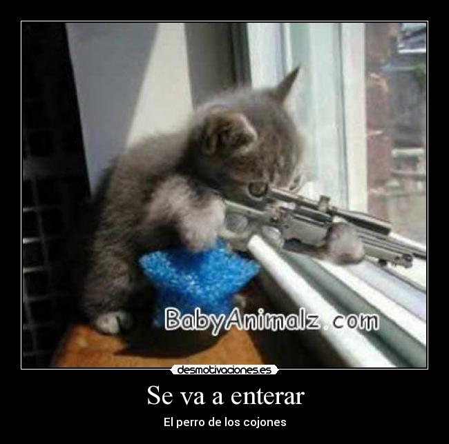 Se va a enterar - El perro de los cojones