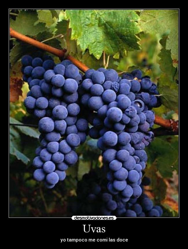 Uvas -