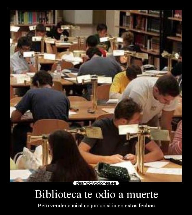 Biblioteca te odio a muerte - 