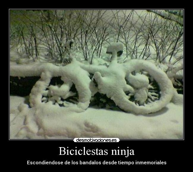 Biciclestas ninja - Escondiendose de los bandalos desde tiempo inmemoriales