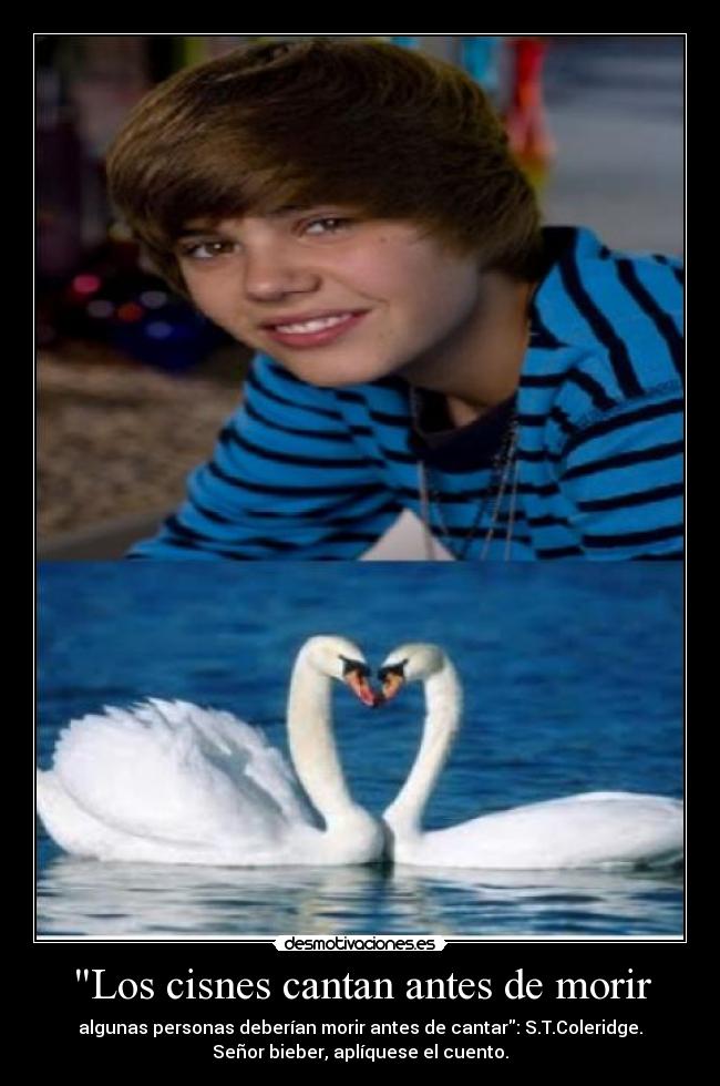 Los cisnes cantan antes de morir -