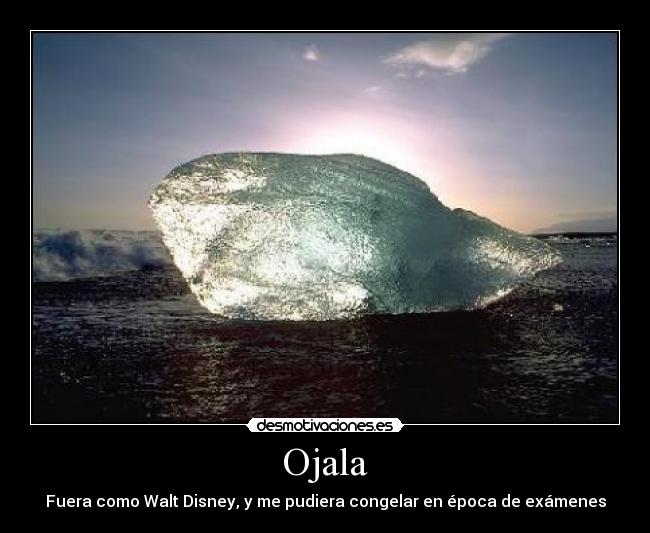 carteles ojala desmotivaciones