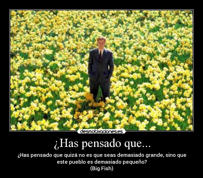¿Has pensado que... - 