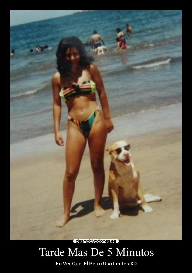 Tarde Mas De 5 Minutos - En Ver Que El Perro Usa Lentes XD