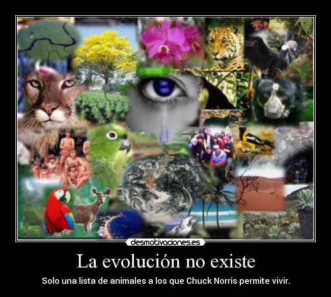 La evolución no existe - Solo una lista de animales a los que Chuck Norris permite vivir.