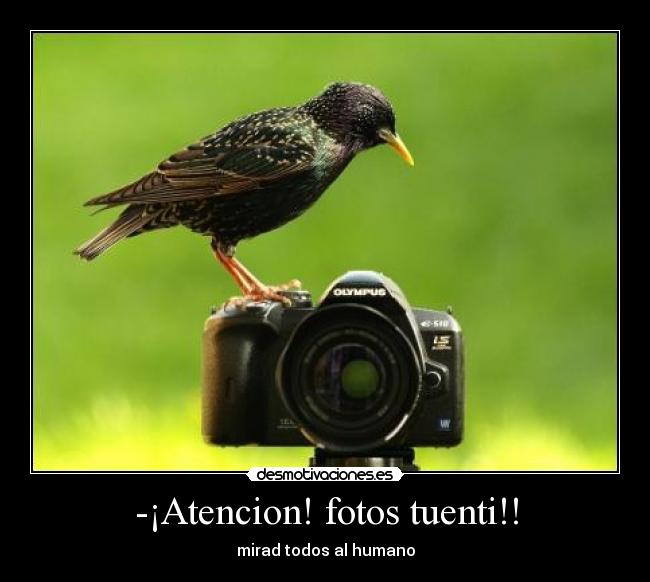 -¡Atencion! fotos tuenti!! -