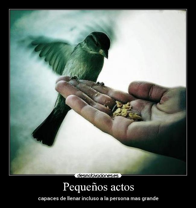 Pequeños actos - capaces de llenar incluso a la persona mas grande