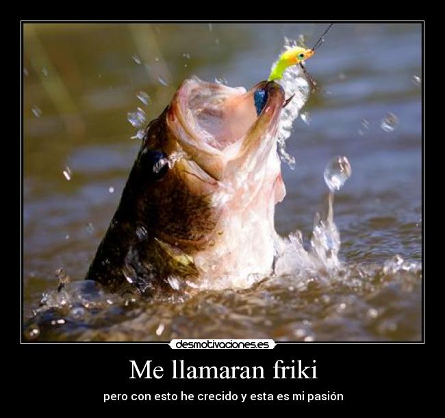 carteles vida friki pesca desmotivacion desmotivaciones forever alone desmotivaciones