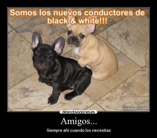 Amigos... - Siempre ahi cuando los necesitas