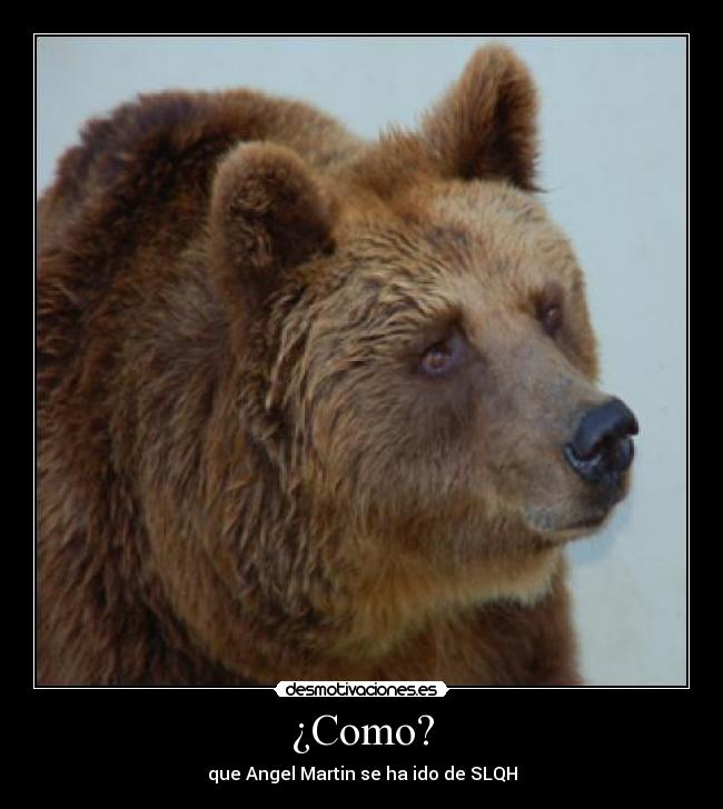 ¿Como? -