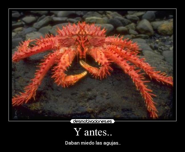 Y antes.. - 