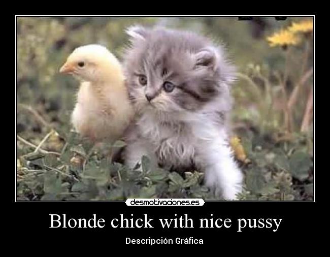 Blonde chick with nice pussy - Descripción Gráfica