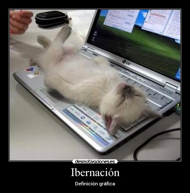 Ibernación - Definición gráfica