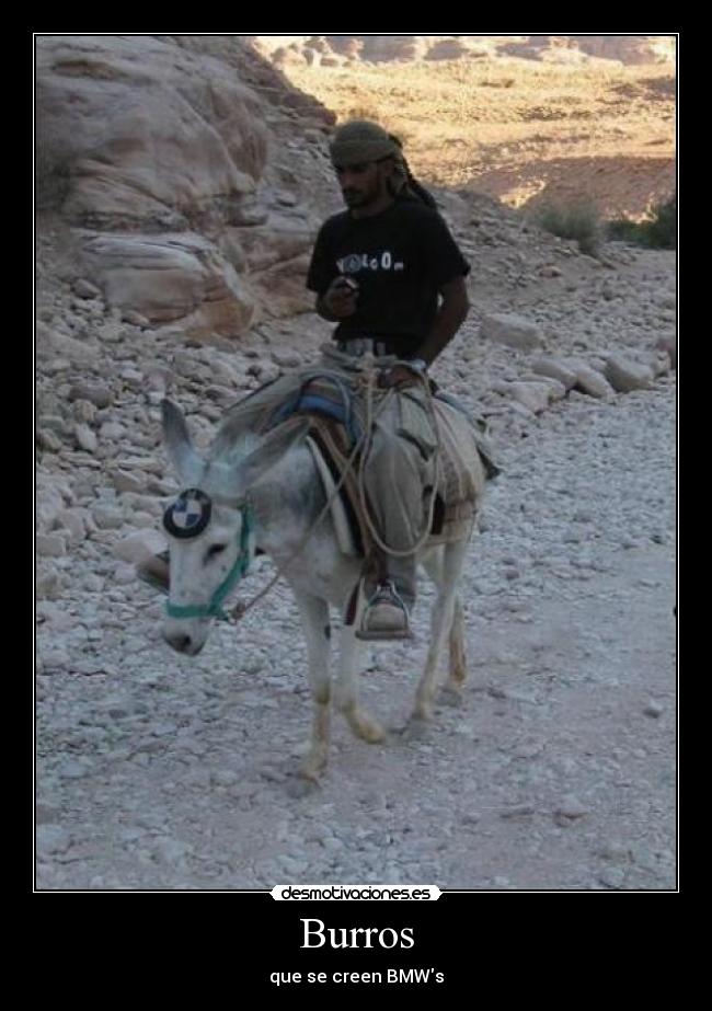 carteles burro desmotivaciones