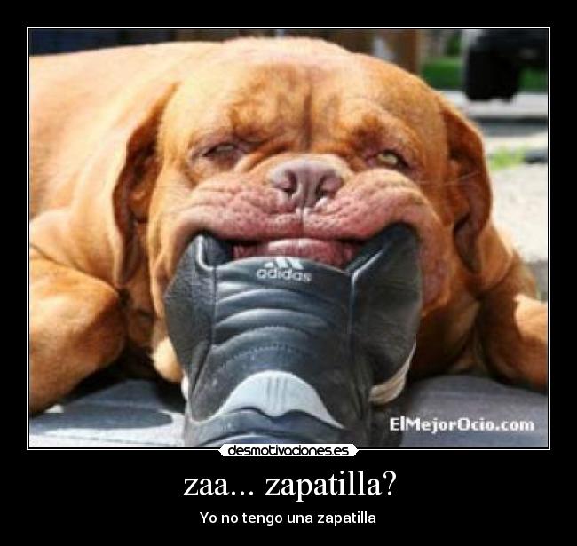 zaa... zapatilla? - Yo no tengo una zapatilla