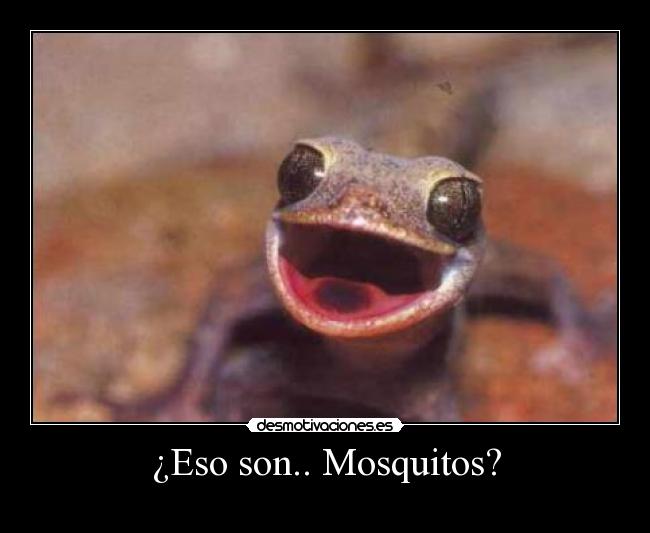 carteles rana desmotivaciones