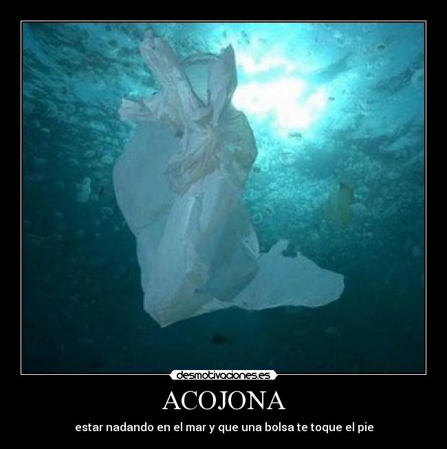 ACOJONA - estar nadando en el mar y que una bolsa te toque el pie