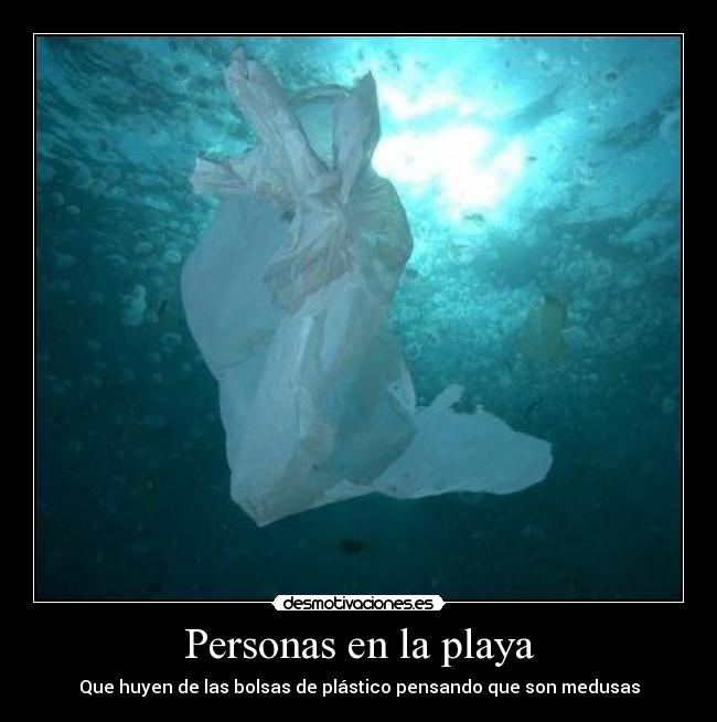 Personas en la playa - Que huyen de las bolsas de plástico pensando que son medusas